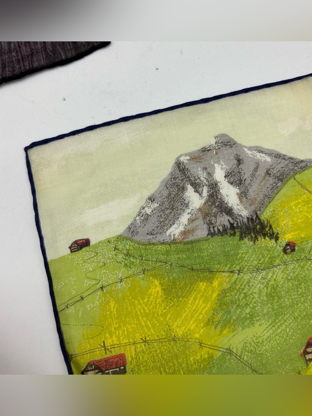 Vintage 60s Switzerland Lehner Handkerchiefs - Picture 9 of 11
